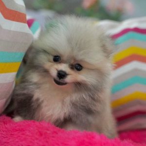 so cute